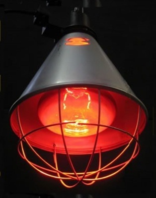 Heat Lamp 1 